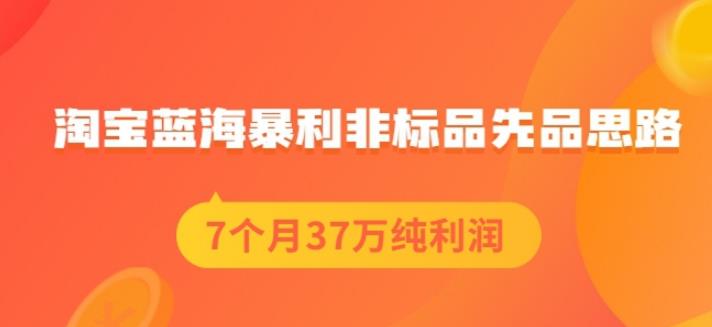 盗坤淘宝蓝海暴利非标品先品思路,7个月37万纯利润,压箱干货分享!【付费文章】-91搞钱