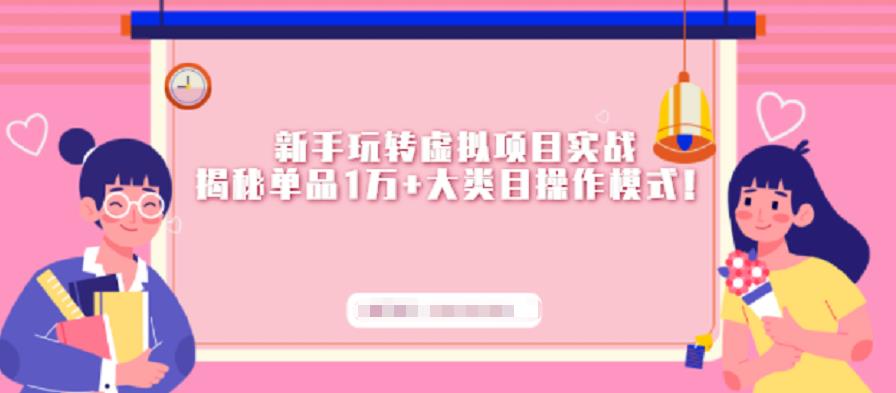 新手玩转虚拟项目实战,揭秘单品1万+大类目操作模式【视频课程】-91搞钱