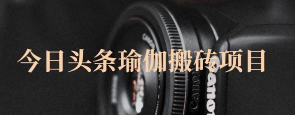 猎人社区·今日头条瑜伽搬砖项目，单号一天几十收入，可以批量操作！-91搞钱