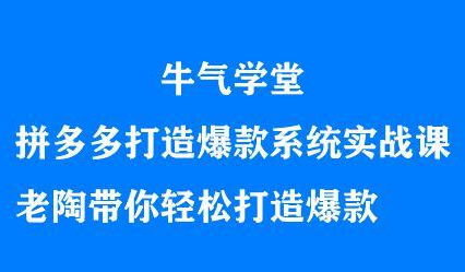 牛气学堂拼多多打造爆款系统实战课,老陶带你轻松打造爆款-91搞钱