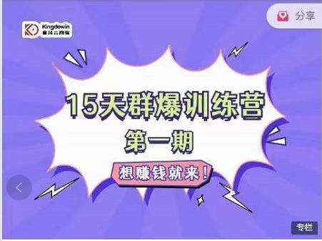 金抖云Peter《15天群爆训练营》，破解抖音玄学，群爆心法，起号方式-91搞钱