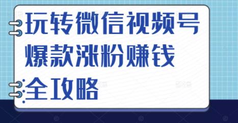玩转微信视频号爆款涨粉赚钱全攻略,让你快速抓住流量风口,收获红利财富-91搞钱