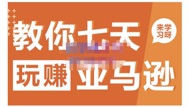 晟尧跨境·教你七天玩赚亚马逊,教你轻松玩赚亚马逊,适合小白学习-91搞钱