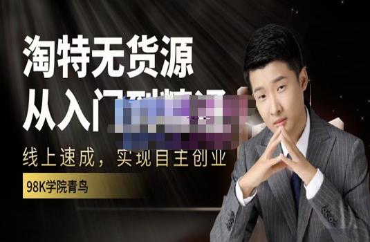 98k学院的淘特无货源线上速成课,从入门到精通,让你最小投入,最高回报-91搞钱