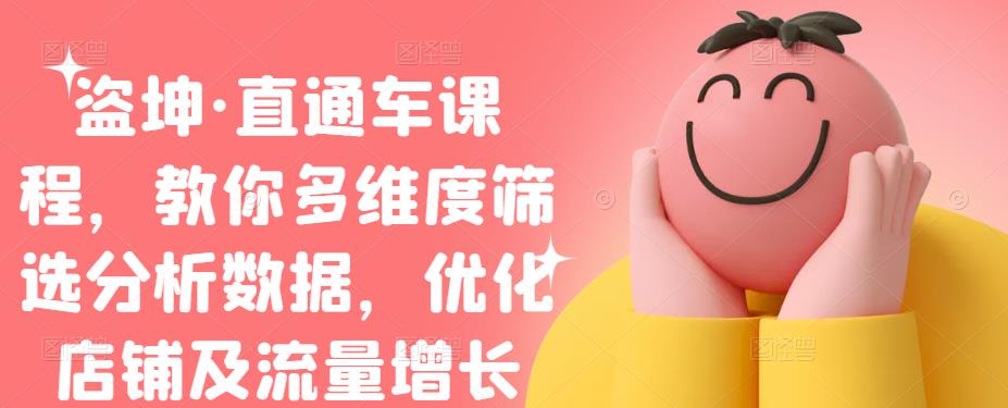 盗坤·直通车课程,教你多维度筛选分析数据,优化店铺及流量增长-91搞钱