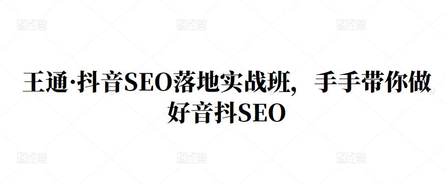 王通·抖音SEO落地实战班,手手带你做好音抖SEO-91搞钱