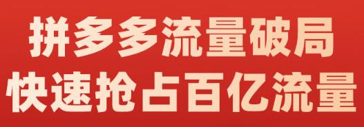 阿杰·拼多多流量破局:如何打黑标,爆款的思路,拼多多流量框架,快速抢占百亿流量-91搞钱