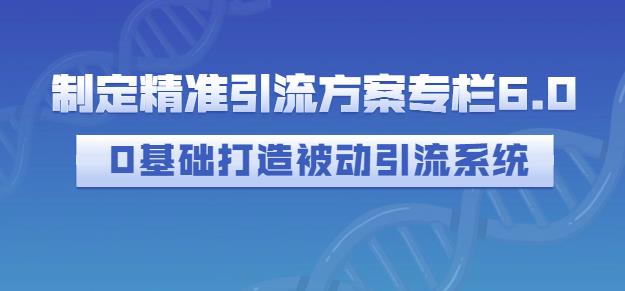 制定精准引流方案专栏6.0,0基础打造被动引流系统-91搞钱