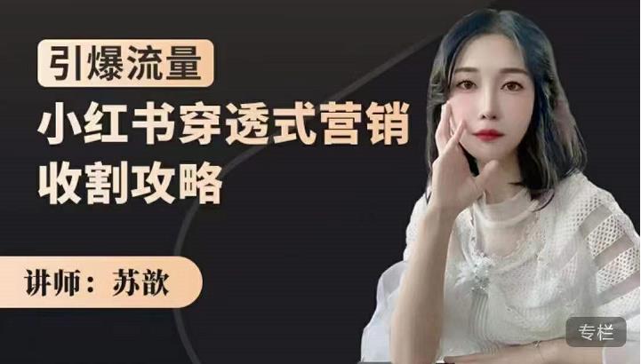 小红书穿透式营销收割攻略,引爆流量,助你玩转小红书-91搞钱