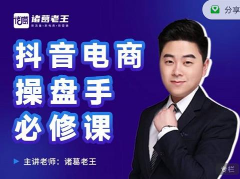 诸葛老王-抖音电商操盘手必修课:顶层设计,起号破局,爆款运营,数据分析-91搞钱