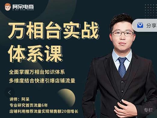 阿呆-万相台实战体系课,帮您全面掌握万相台知识体系-91搞钱