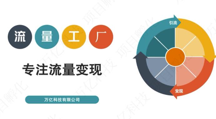 收费3980的流量工厂回粉项目,号称1个粉10元【详细玩法教程解析】-91搞钱