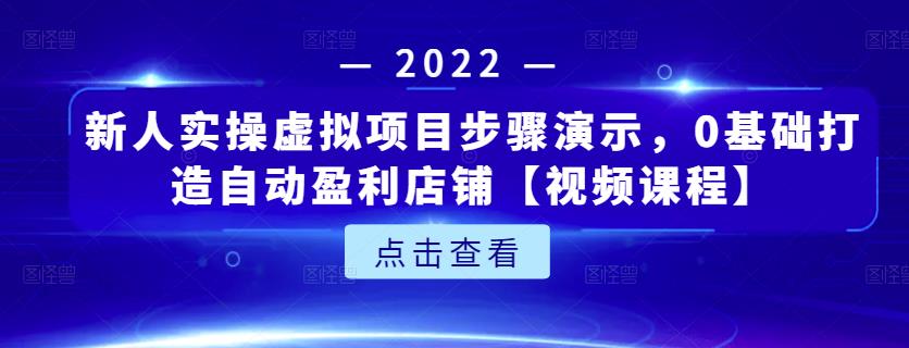 新人实操虚拟项目步骤演示,0基础打造自动盈利店铺【视频课程】-91搞钱