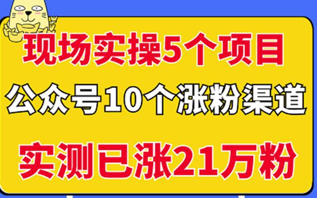 现场实操5个公众号项目，10个涨粉渠道，实测已涨21万粉！-91搞钱