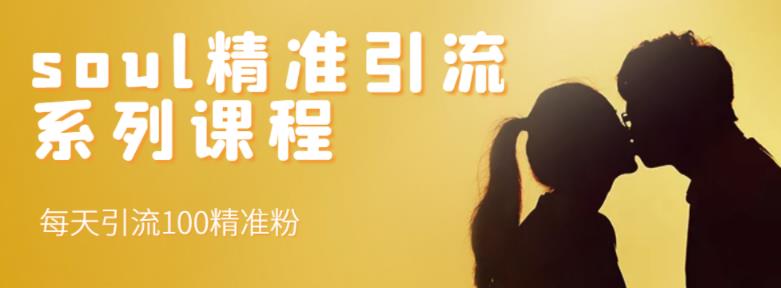 soul精准引流系列课程，每天引流100精准粉-91搞钱