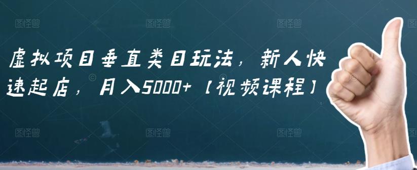 虚拟项目垂直类目玩法，新人快速起店，月入5000+【视频课程】-91搞钱