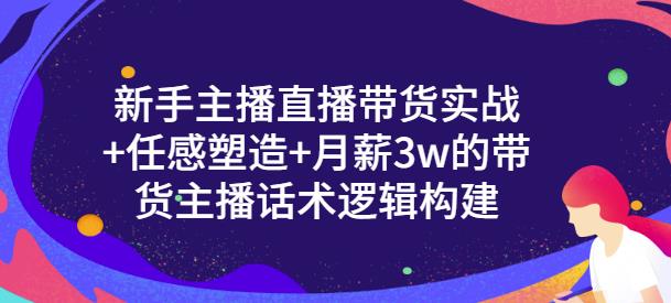 新手主播直播带货实战+信任感塑造+月薪3w的带货主播话术逻辑构建-91搞钱