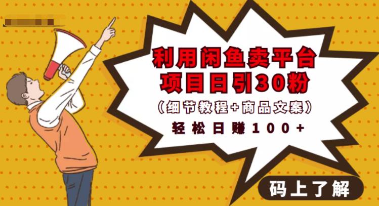 利用闲鱼卖平台项目课程资源日引流30+精准粉丝,轻松日赚100+,积累人脉可实现二次变现(细节教程+商品文案)-91搞钱