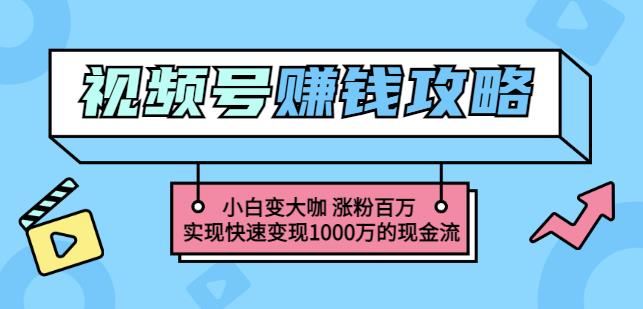 玩转微信视频号赚钱：小白变大咖涨粉百万实现快速变现1000万的现金流-91搞钱