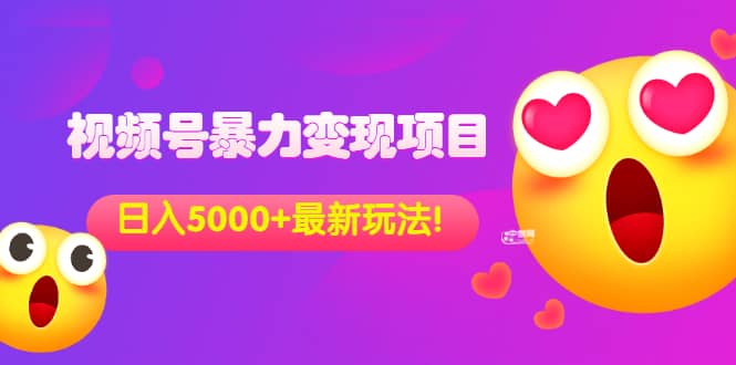 外面收费699的视频号暴力变现项目，日入5000+，简单易操作当天见效果-91搞钱