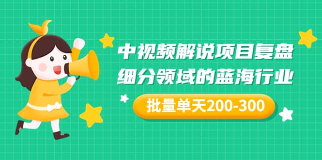 某付费文章：中视频解说项目复盘：细分领域的蓝海行业 批量单天200-300收益-91搞钱