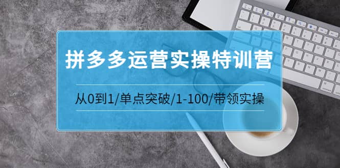 拼多多运营实操特训营:从0到1/单点突破/1-100/带领实操 价值2980元-91搞钱