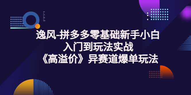 拼多多零基础新手小白入门到玩法实战《高溢价》异赛道爆单玩法实操课-91搞钱