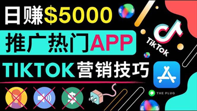 无需露脸，无需录音，无需投资，TIKTOK上传短视频，最高日入5000美元-91搞钱