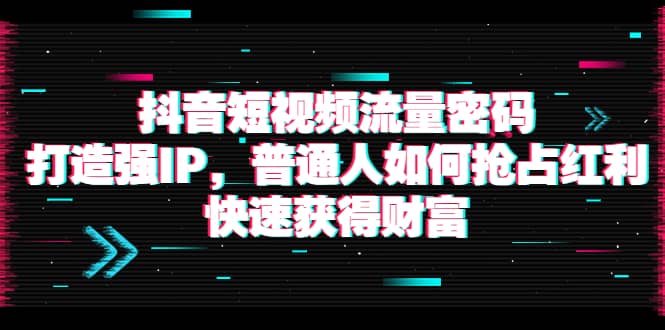 抖音短视频流量密码:打造强IP,普通人如何抢占红利,快速获得财富-91搞钱