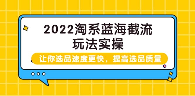 2022淘系蓝海截流玩法实操:让你选品速度更快,提高选品质量(价值599)-91搞钱