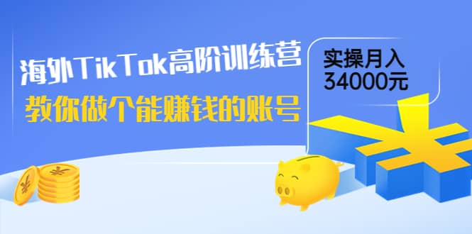 海外TikTok高阶训练营：教你做个能赚钱的账号，实操月入34000元！-91搞钱