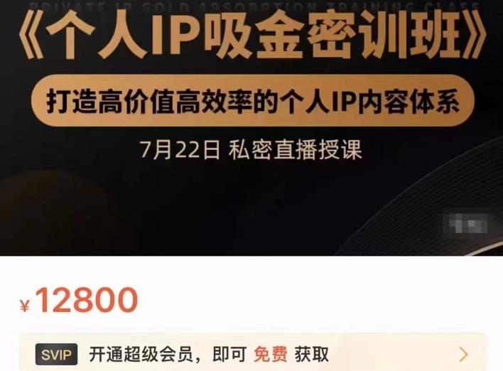 个人IP吸金密训班,打造高价值高效率的个人IP内容体系(价值12800元)-91搞钱