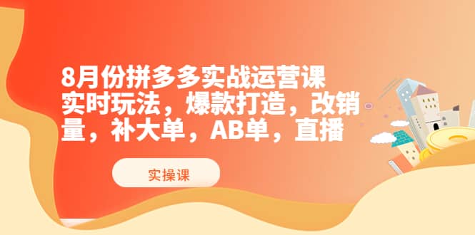 8月份拼多多实战运营课，实时玩法，爆款打造，改销量，补大单，AB单，直播-91搞钱