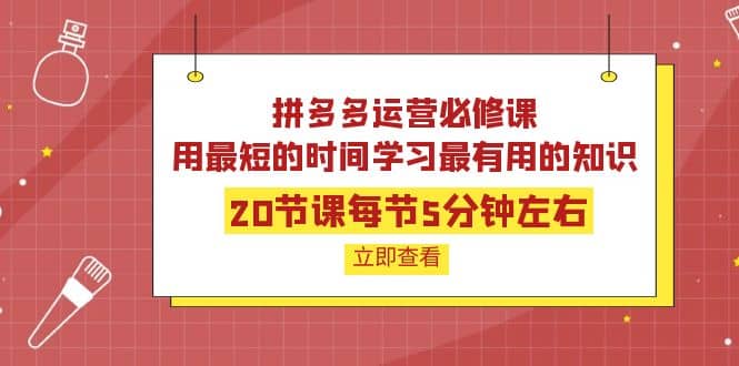 拼多多运营必修课:20节课每节5分钟左右,用最短的时间学习最有用的知识-91搞钱
