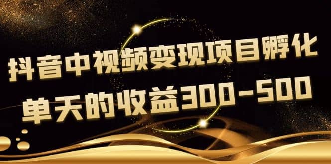 黄岛主《抖音中视频变现项目孵化》单天的收益300-500 操作简单粗暴-91搞钱