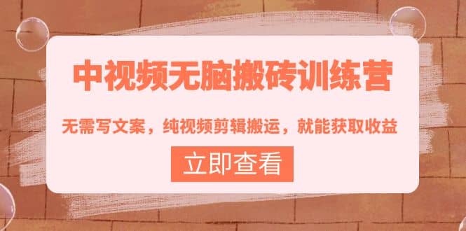 中视频无脑搬砖训练营:无需写文案,纯视频剪辑搬运,就能获取收益-91搞钱