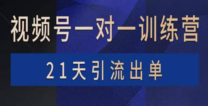 视频号训练营:带货,涨粉,直播,游戏,四大变现新方向,21天引流出单-91搞钱