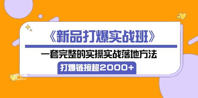 《新品打爆实战班》一套完整的实操实战落地方法,打爆链接超2000+(38节课)-91搞钱