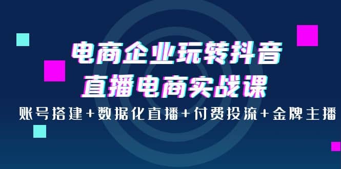电商企业玩转抖音直播电商实战课：账号搭建+数据化直播+付费投流+金牌主播-91搞钱