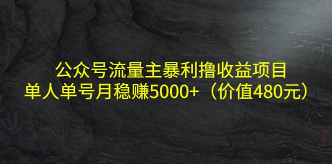 公众号流量主暴利撸收益项目,单人单号月稳赚5000+(价值480元)-91搞钱