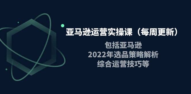 亚马逊运营实操课(每周更新)包括亚马逊2022选品策略解析,综合运营技巧等-91搞钱