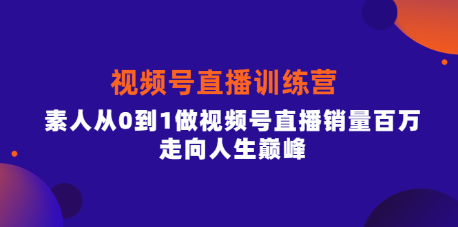 视频号直播训练营，素人从0到1做视频号直播销量百万，走向人生巅峰-91搞钱