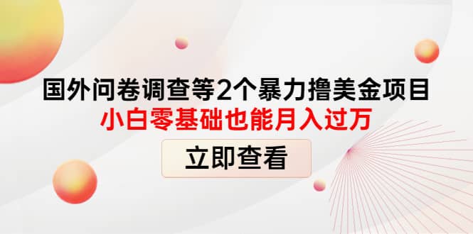 国外问卷调查等2个暴力撸美元项目,小白零基础也能月入过万-91搞钱