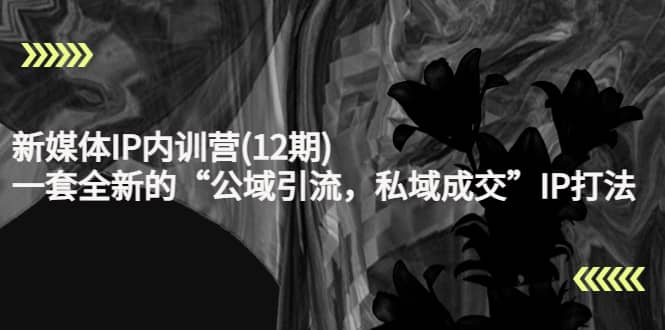 新媒体IP内训营(12期),一套全新的“公域引流,私域成交”IP打法,直接带走-91搞钱