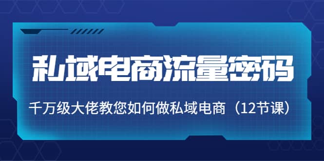 私域电商流量密码：千万级大佬教您如何做私域电商（12节课）-91搞钱