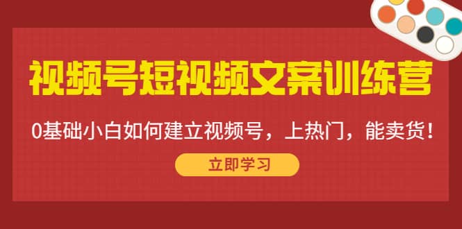 视频号短视频文案训练营:0基础小白如何建立视频号,上热门,能卖货!-91搞钱
