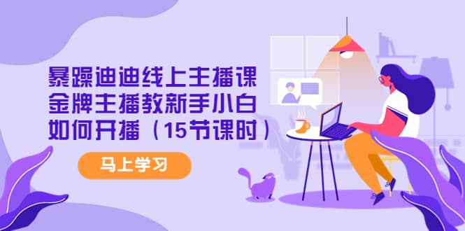 暴躁迪迪线上主播课,金牌主播教新手小白如何开播(15节课时)-91搞钱