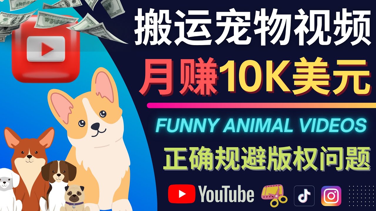 搬运TIKTOK视频到YouTube,并进行二次创作,月赚1万美元以上-91搞钱