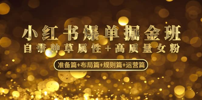 小红书爆单掘金班：自带种草属性+高质量女粉 准备篇+布局篇+规则篇+运营篇-91搞钱