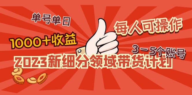 2023新细分领域带货计划:单号单日1000+收益不难,每人可操作3-5个账号-91搞钱
